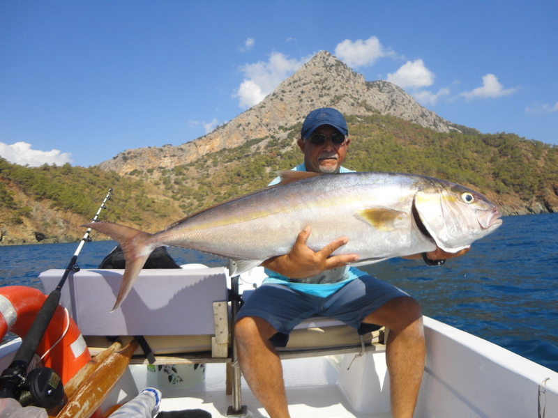 AKYA AVINDA CANLI YEM HAZIRLIGI