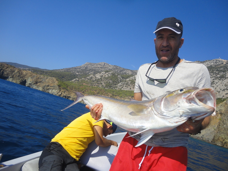 AKYA AVINDA CANLI YEM HAZIRLIGI