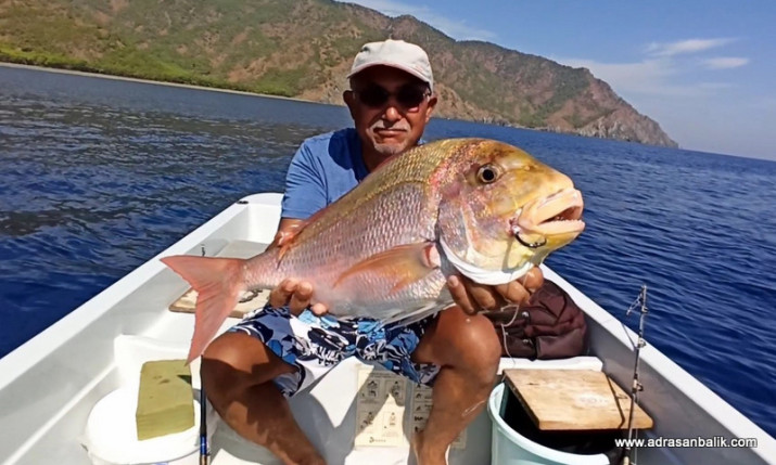 AKYA AVINDA CANLI YEM HAZIRLIGI